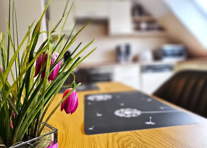 Design Apartment Gruenwald Grosse Wohnung Auf 2 Etagen
